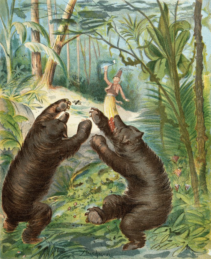 Alphonse Adolphe Bichard -